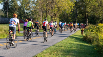cyclists on country road